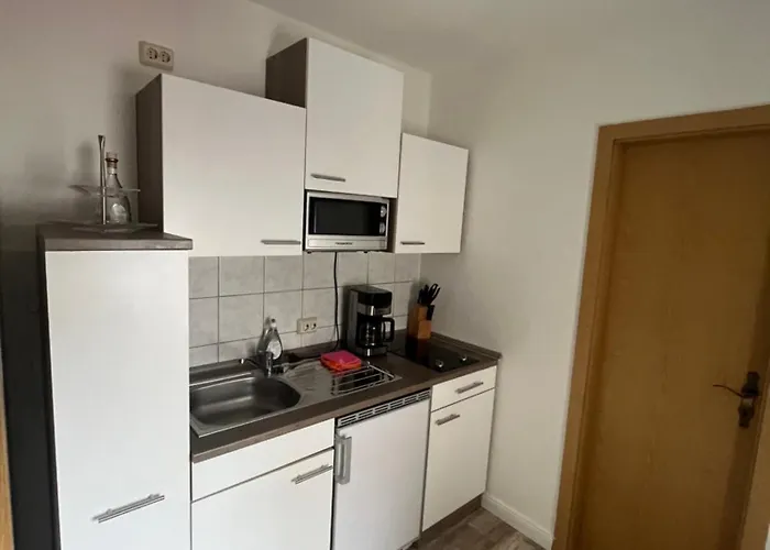 Heinrich-zille Bernburg